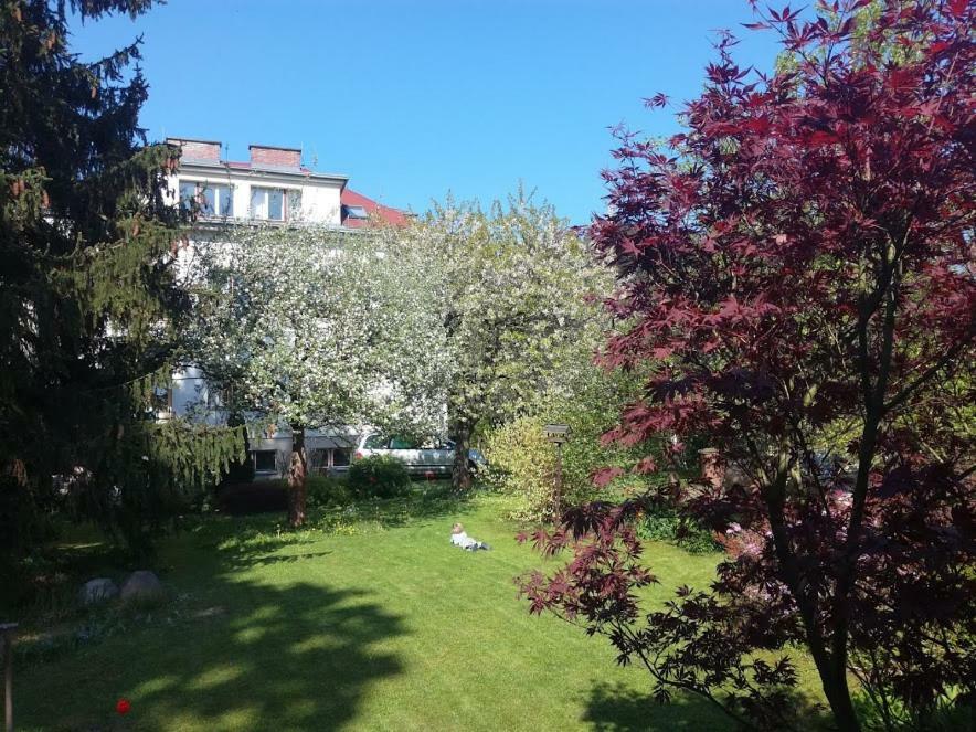 Hradiska Apartamento Jablonné nad Orlicí Exterior foto