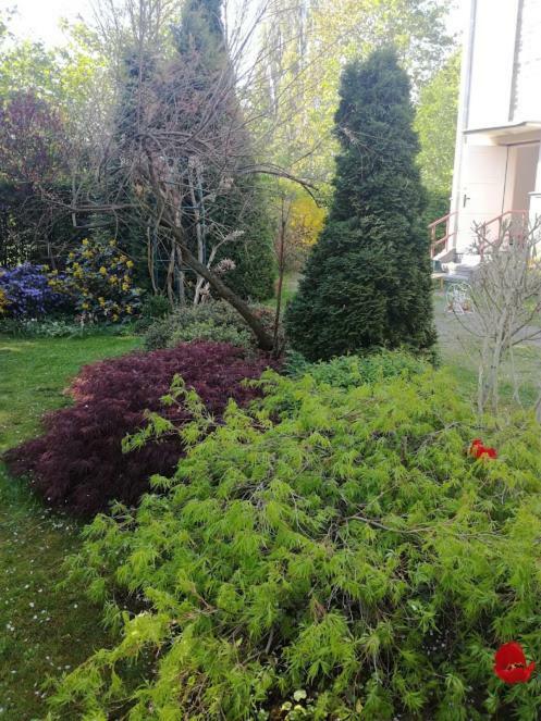 Hradiska Apartamento Jablonné nad Orlicí Exterior foto