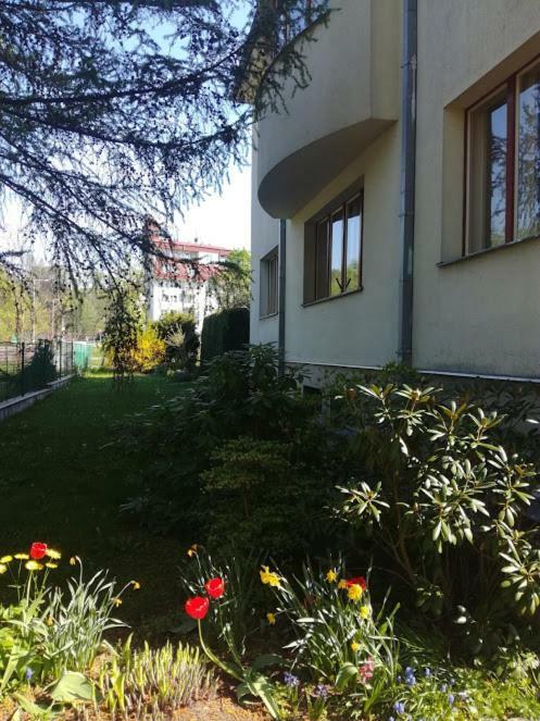 Hradiska Apartamento Jablonné nad Orlicí Exterior foto