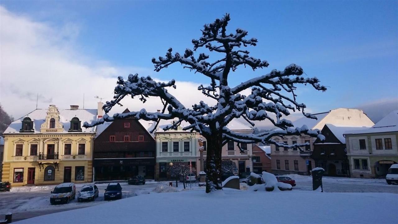 Hradiska Apartamento Jablonné nad Orlicí Exterior foto